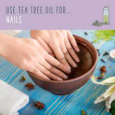 Tea Tree Oil Uses 70 Ways To Benefit From Tea Tree Oil Diy Nails Soak Diy Natural Nails Nail Soak