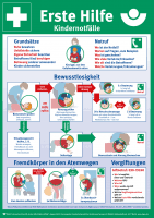 Ausführliche informationen enthält das „handbuch zur ersten hilfe (bgi 829). Erste Hilfe Plakat Din A2 Dguv Informationen Regelwerk Dguv Publikationen