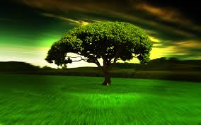 Guess who's not allowed in my tree house now??? ~unknown. Free Download Cool Tree Cool Desktop Background 1440x900 For Your Desktop Mobile Tablet Explore 67 Cool Tree Backgrounds Christmas Tree Wallpaper Tree Wallpaper For Walls Birch Tree Wallpaper