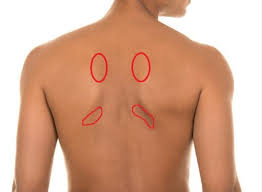 No more pain between the shoulder blades. Pain Under Shoulder Blades In The Left And Right Side Body Pain Tips
