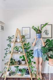 30 Best Indoor Plants Decor Ideas For Small Apartment Plant Decor Indoor House Plants Indoor Plant Decor