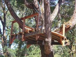 Suspended Tree House Deck Garden Tree House Tree House Tree House Deck