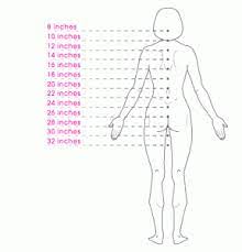 Beautiful Divine Inch Hair Chart Hair Chart Hair Length Chart Hair Lengths