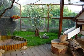 Gartengehege Bauen Kaninchenkafig Kaninchengehege Und Kaninchen Freigehege