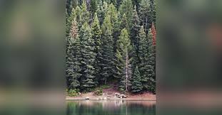 Obituary information for Floyd "Sonny" H. Mears