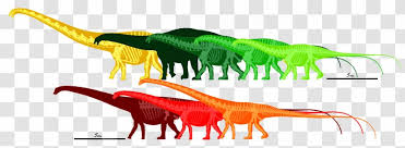 #diplodocus #sauropod #walking with dinosaurs #seismosaurus #dinosaur #diplodocus longus #diplodocus carnegii #diplodocus hallorum #paleontology #prehistory #prehistoric life #dinosaurs. Seismosaurus Barosaurus Apatosaurus Supersaurus Mamenchisaurus Area Transparent Png