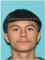 Suspects in shooting death of 17-year-old boy plead not guilty to murder