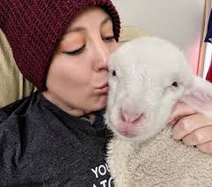 A Vegan Chat With Animal Activist Kristy Alger