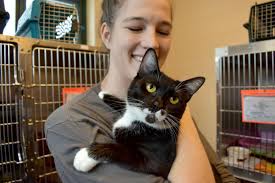 Find friendly dog boarding in real homes in concord, nh. Black Friday Adopt A Thon Moving To Shelter Hq Local News Laconiadailysun Com