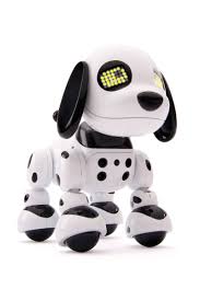 Ben jij een paw patrol fan en wil je een kleurplaat van de dappere puppies printen? Zoomer 6026679 Zuppies Spot Robothond Wehkamp