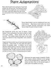 Plant Adaptations Plant Adaptations Plant Science Life Science Lessons