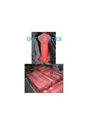 Image result for Berchemia zeyheri