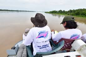 Brasil, colombia y ecuador proponen a la comisión ballenera internacional la creación de un plan de manejo y conservación. Mais De 900 Botos Rastreados Ao Longo Do Rio Amazonas Wwf Brasil