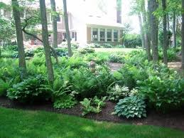 Maybe you would like to learn more about one of these? Beautiful Shade Garden Landscaping Ferns And Hostas Ideas For My Shady Backyard That Needs A Lot Of Help Shade Landscaping Shady Backyard Ideas Shade Garden