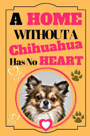 550 x 659 jpeg 37 кб. A Home Without A Chihuahua Has No Heart Dog Quote Funny Gift Lined Notebook Journal 130 Pages 6 X9 Amazon Co Uk Designs Shae Athena 9781096656807 Books