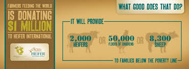 Farmers Give To Heifer International