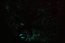 Pagesbusinesseslocal servicehome improvementglow in the dark cosmic star ceiling. 49 Night Sky Wallpaper Murals On Wallpapersafari