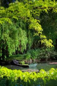 Jardins De Claude Monet Claude Monet Monet Giverny Monet
