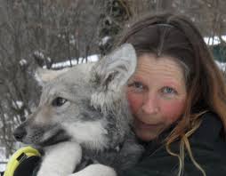 Shir Khan, Mit dem Teufel durch die Wüste Teil 1 : Kien, Sandy: Amazon.de:  Bücher