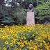 Popular Cleveland World Festival will not return to Cultural Gardens ...