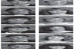 Moments and Memories of WHS