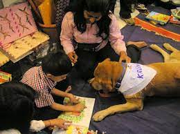 Animal Assisted Education Animal Angels Foundation