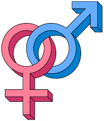 Download File Heterosexual Symbol 3d Svg Wikipedia