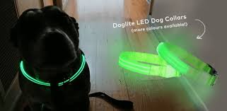 We did not find results for: Night Walk Products Pet Circle