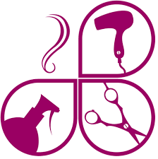 46,000+ vectors, stock photos & psd files. Hair Stylist Beauty Salon Logo Png
