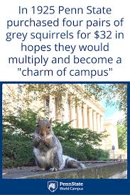 Oct 25, 2021 · if you feel up to the task, what do you say to a handful of hard trivia questions? 13 Penn State Trivia Ideas Penn State Trivia States