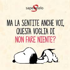 Prima di arrivare a questo traguardo si passa per le nozze di edera, viola. Buon Lunedi 22 Sapevatelo