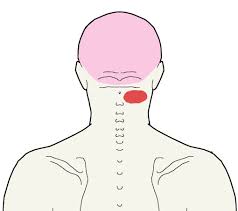 Headache With Tender Top Of Neck While Turning Integrative Works In 2020 Neck Headache Headache How To Fall Asleep