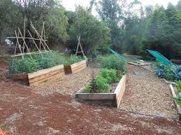Check spelling or type a new query. 20 Hillside Vegetable Garden Ideas Magzhouse