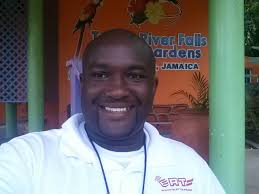 Driving through Jamaica's Fern Gully in Saint Ann Parish