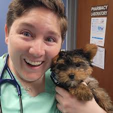 IndeVets (@indevets) · Instagram 照片和视频