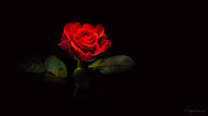 [Hình: images?q=tbn:ANd9GcQbcepkW4-HKG_1ISzFkED...Y&usqp=CAU]