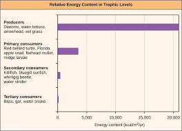 Energy Flow Through Ecosystems Concepts Of Biology