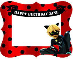 Miraculous Ladybug Cat Noir Birthday Party Photo Frame For Kids Birthday Photo Booths Party Photo Frame Kids Birthday Party