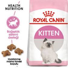 Royal Canin Kitten Yavru Kedi Mamasi Kullanici Yorumlari Satin Al Kedi Blog
