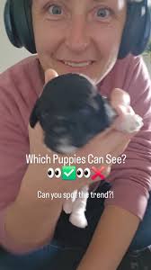 Did you SPOT 👀 it?! 👇, #boysvsgirls #puppies #eyes #2weeks