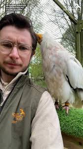 Conserving Vultures: A Critical Mission for Wildlife Conservation