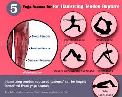 The essential anatomy the hamstrings are a comprised of three muscles: Exercises Yoga Recovery For Hamstring Tendon Rupture