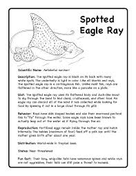 Sharks Rays Science Art Activities Lucid Publishing Shark Facts Manta Ray Facts Shark