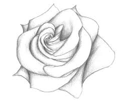 Gulab Phool Ka Drawing Video Qurani amal se shadi ki bandish ka torh | shadi ki bandish k lie wazifa. gulab phool ka drawing video