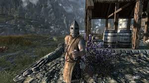 I'Ve Said It Before And I'Ll Say It Again. The Guards In Skyrim Are Some Of  The Nicest And Coolest Law Enforcement Npcs Ever Made In A Video Game.  Every Game That