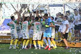 La revancha será el próximo miércoles en brasilia. Defensa Y Justicia Jugara Ante Palmeiras La Final De La Recopa Sudamericana