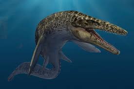 Massive Mosasaurs May Have Evolved More Than Once