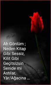 Elif Gul Adli Kullanicinin Guzel Sozler Panosundaki Pin Kitap Guzel Soz