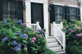 But they're not all created equal. How To Grow Hydrangeas This Old House