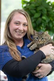 Veterinarian In Sharon, MA 02067